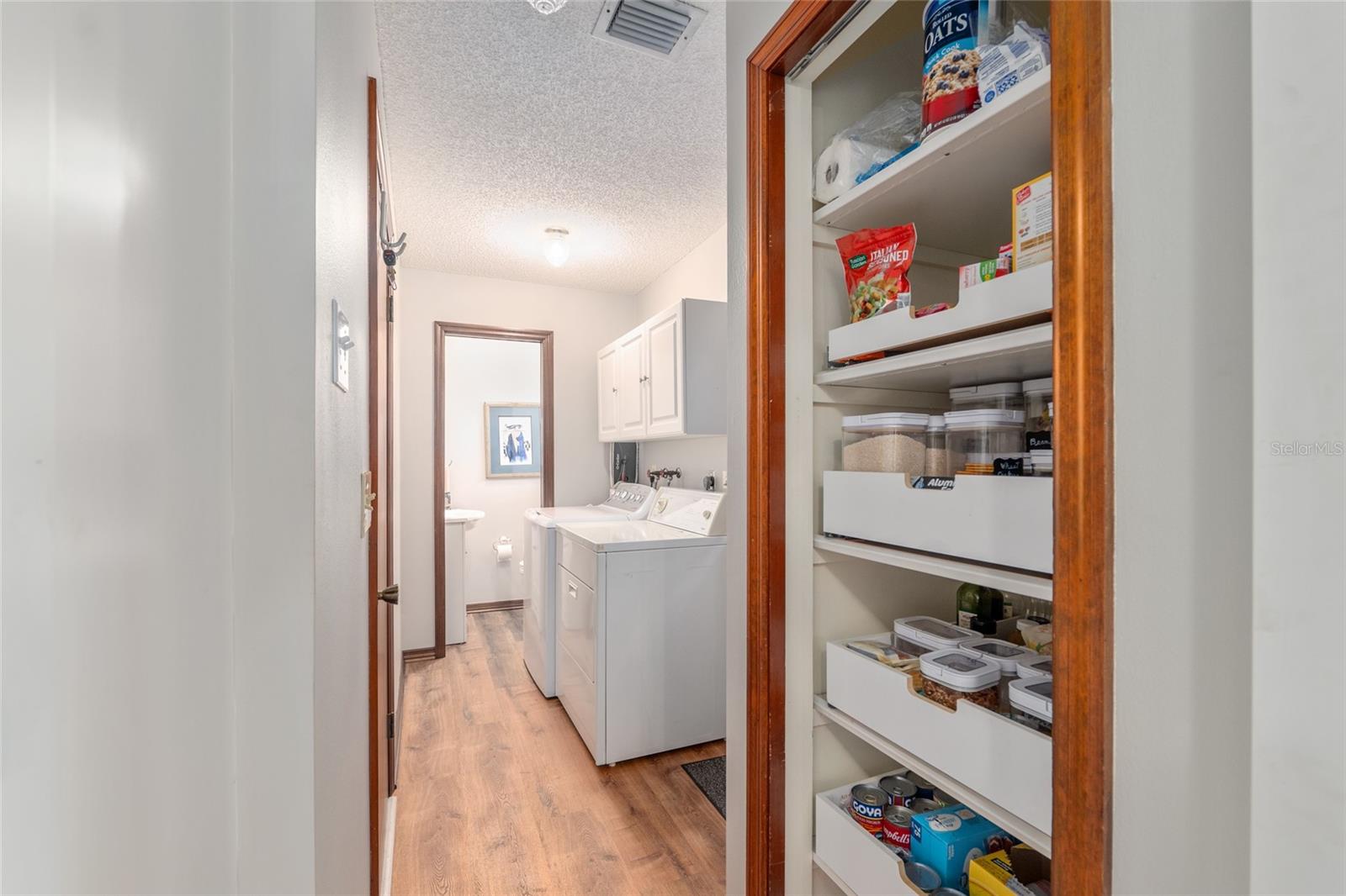 38845 ELLA DR, LADY LAKE, FL, 32159