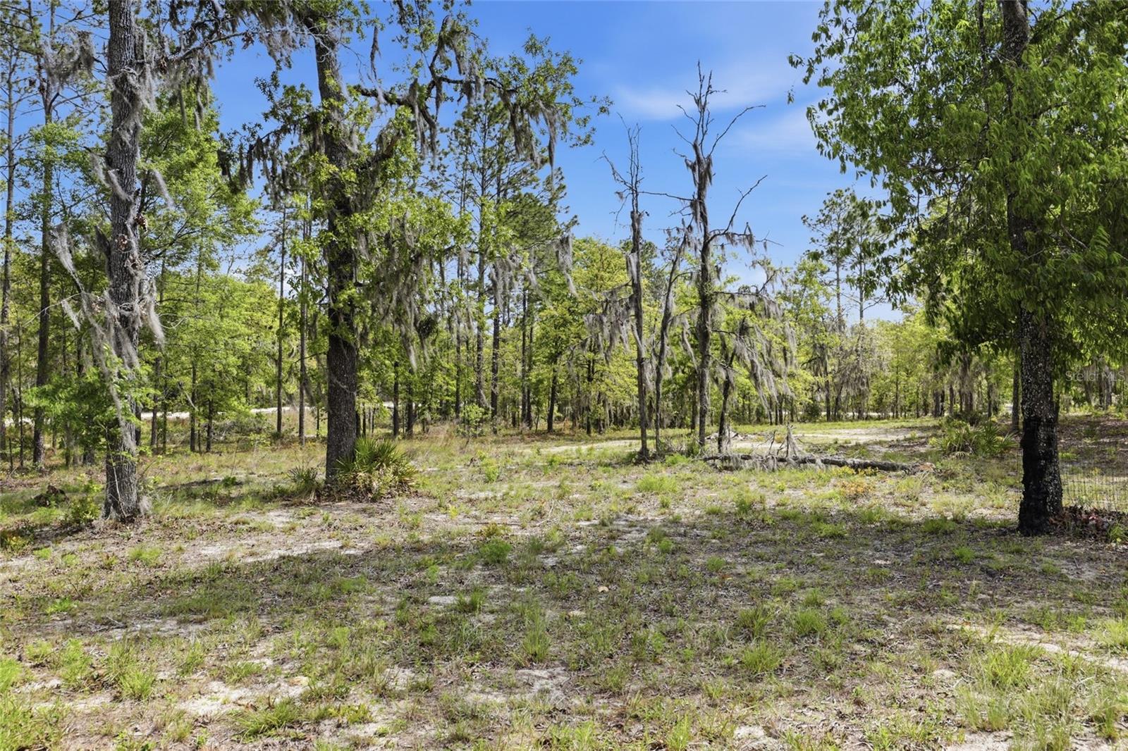 2640 NE 74TH AVE, HIGH SPRINGS, FL, 32643