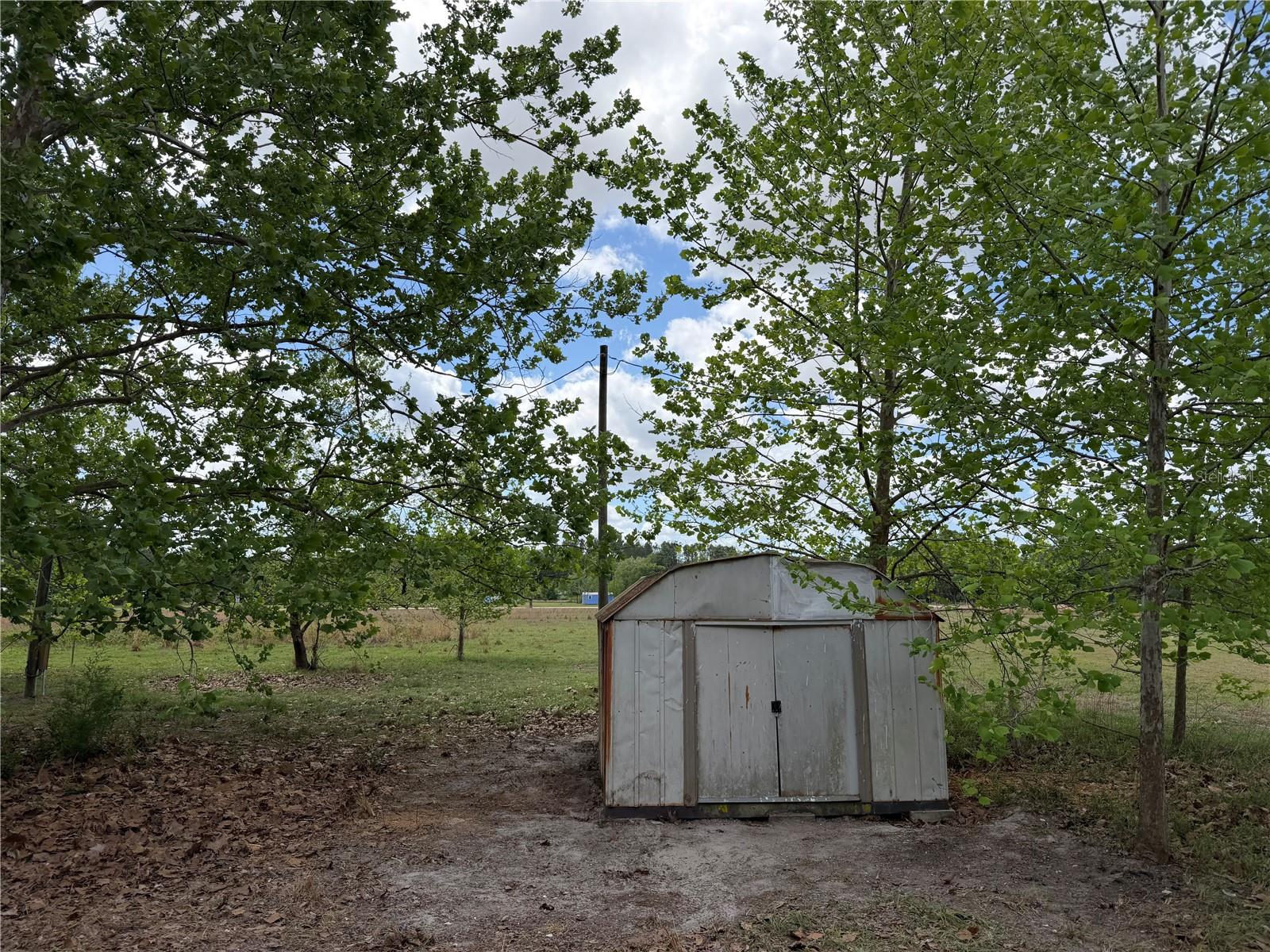 5651 NW 73RD LN, CHIEFLAND, FL, 32626