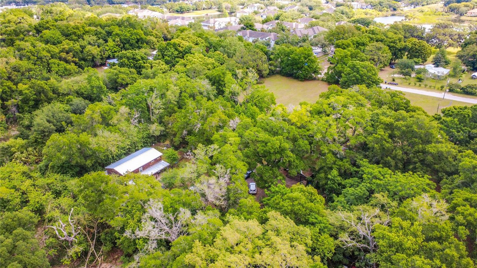 806 S LAKE PLEASANT RD, APOPKA, FL, 32703