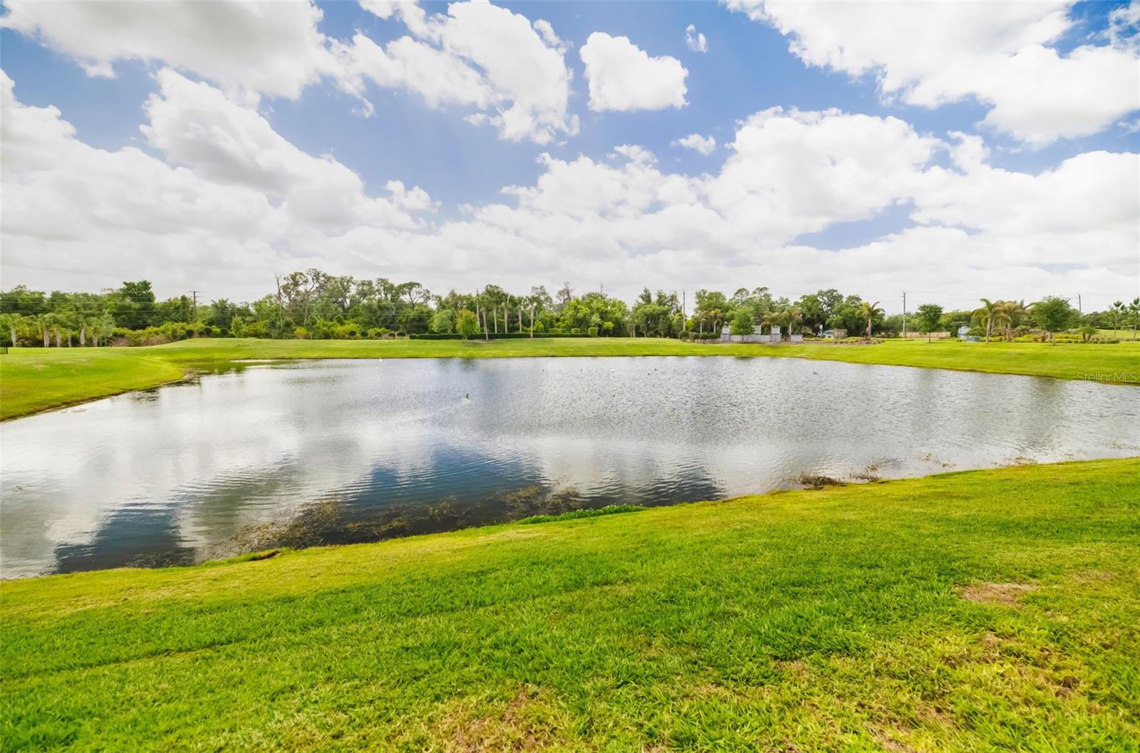 14086 GINNIE SPRINGS WAY, PARRISH, FL, 34219