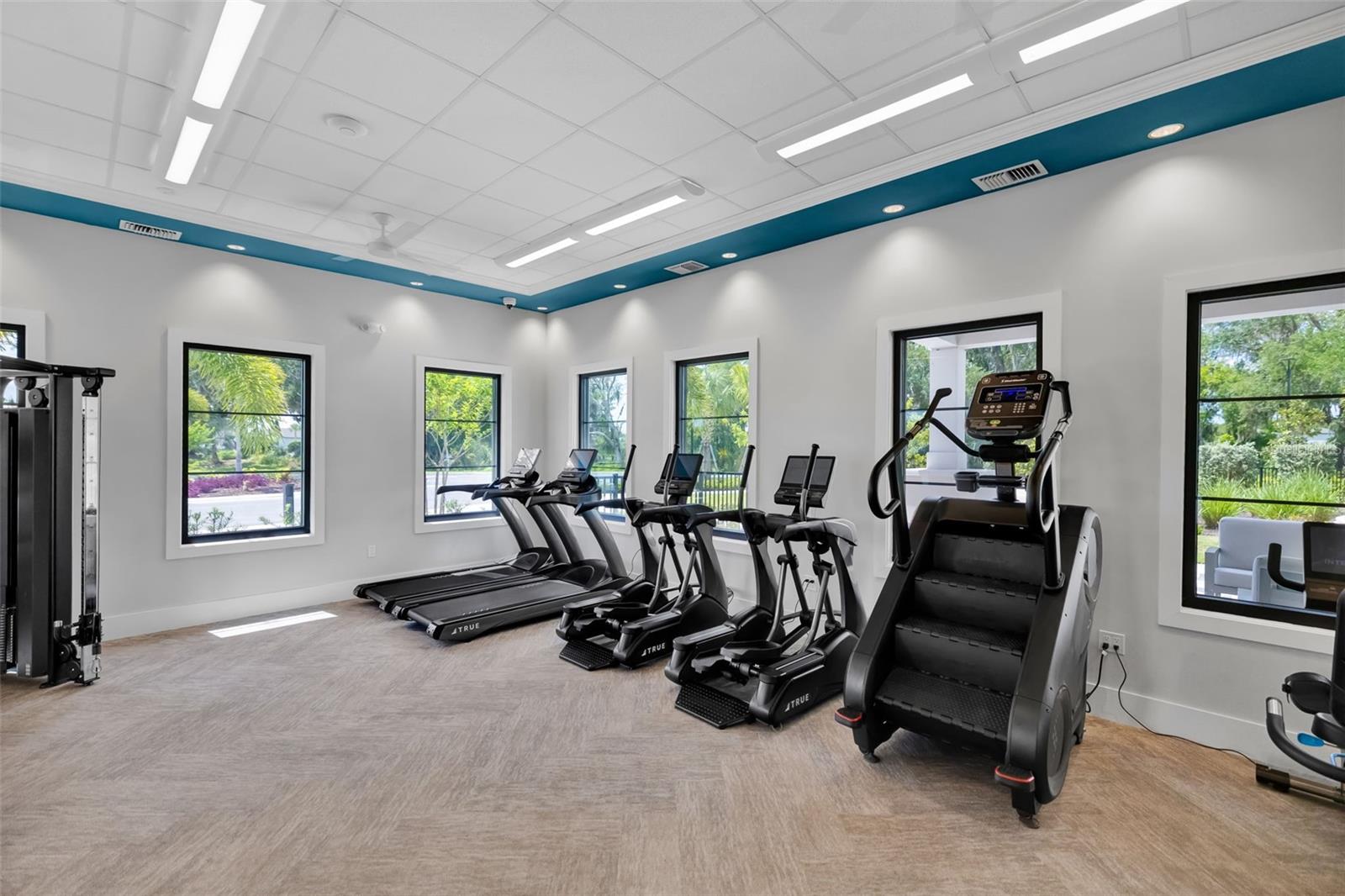 14086 GINNIE SPRINGS WAY, PARRISH, FL, 34219