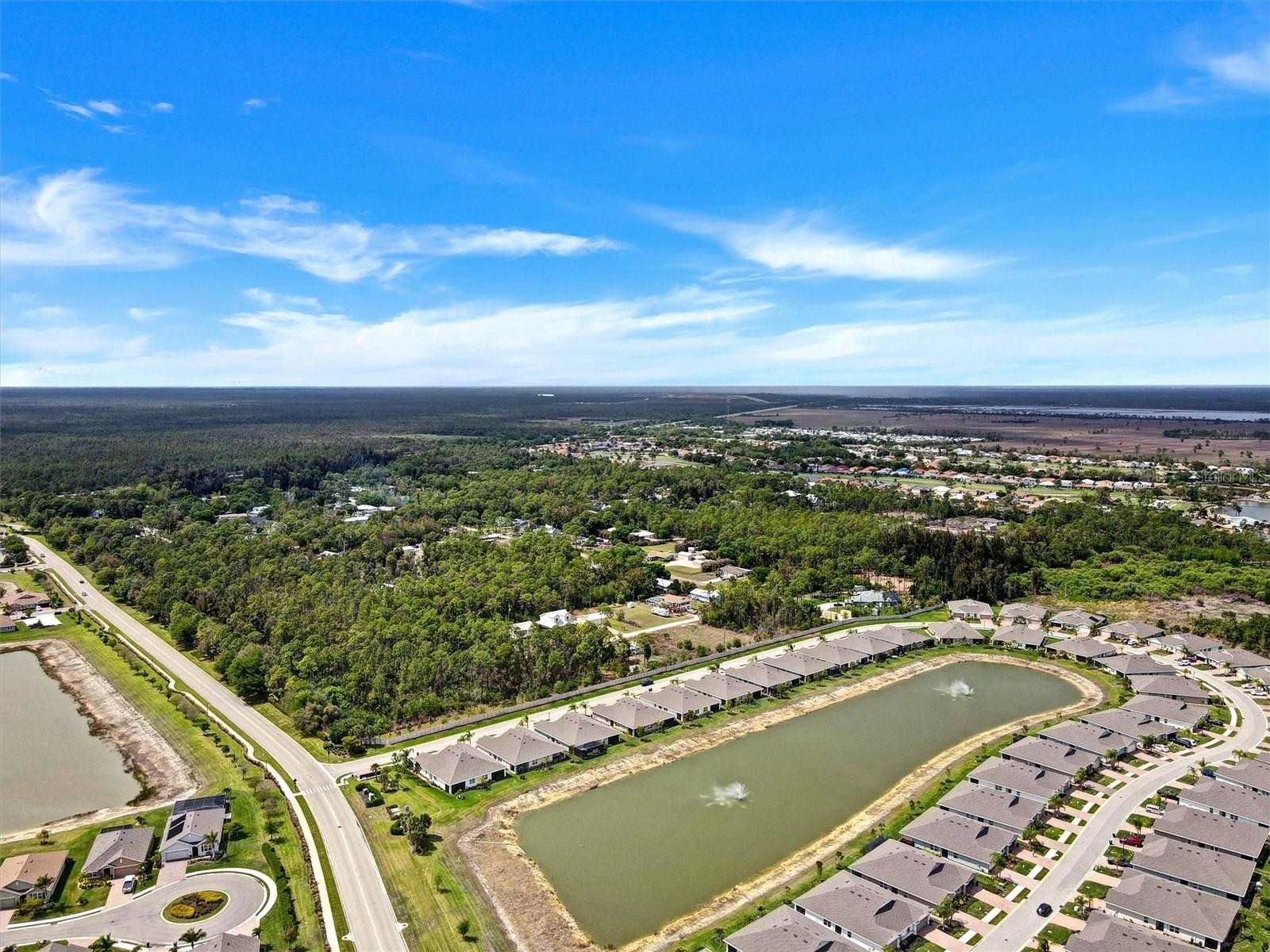 20462 PLUMWOOD LOOP, NORTH FORT MYERS, FL, 33917