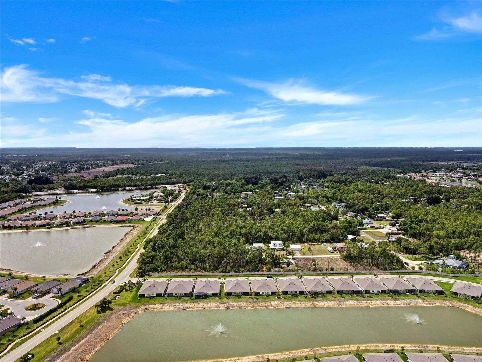 20462 PLUMWOOD LOOP, NORTH FORT MYERS, FL, 33917