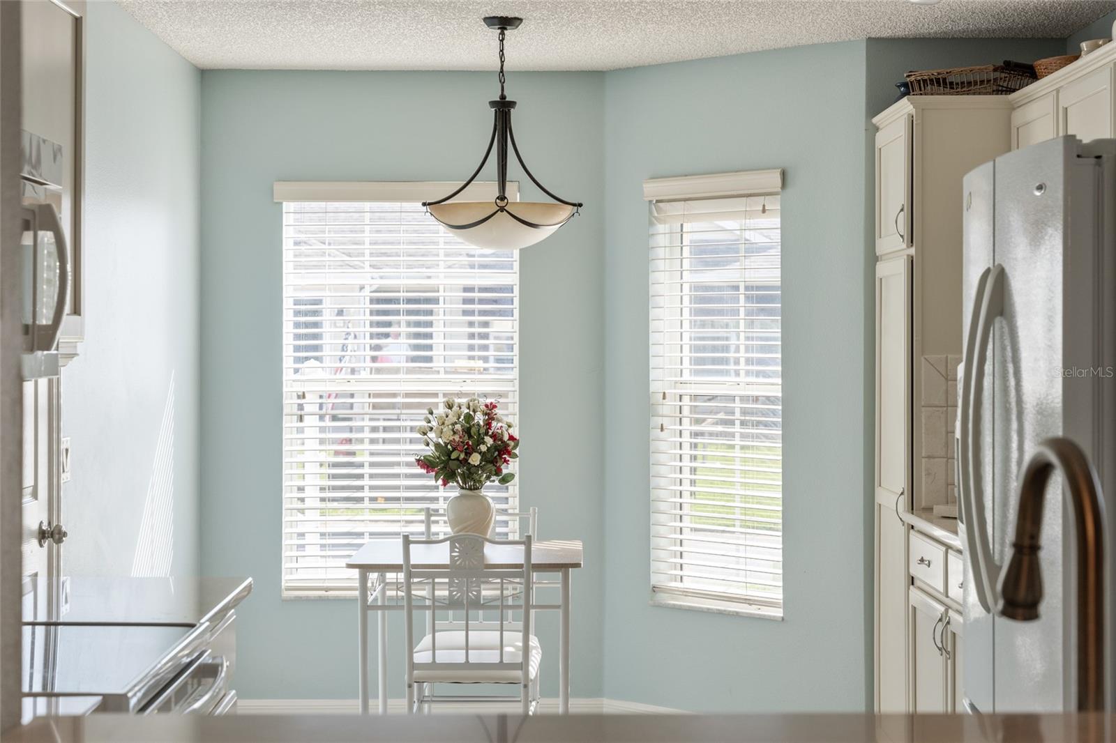 17830 SE 88TH CASCADE CT, THE VILLAGES, FL, 32162