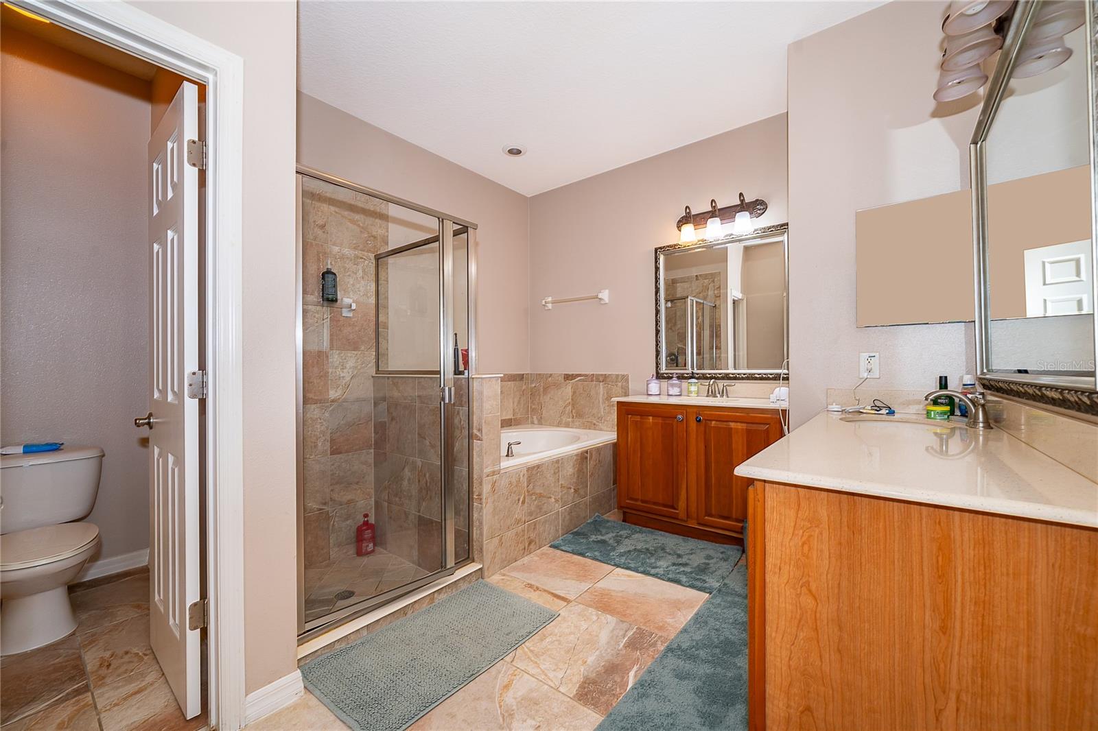 7204 MYSTIC BROOK WAY, DAVENPORT, FL, 33896