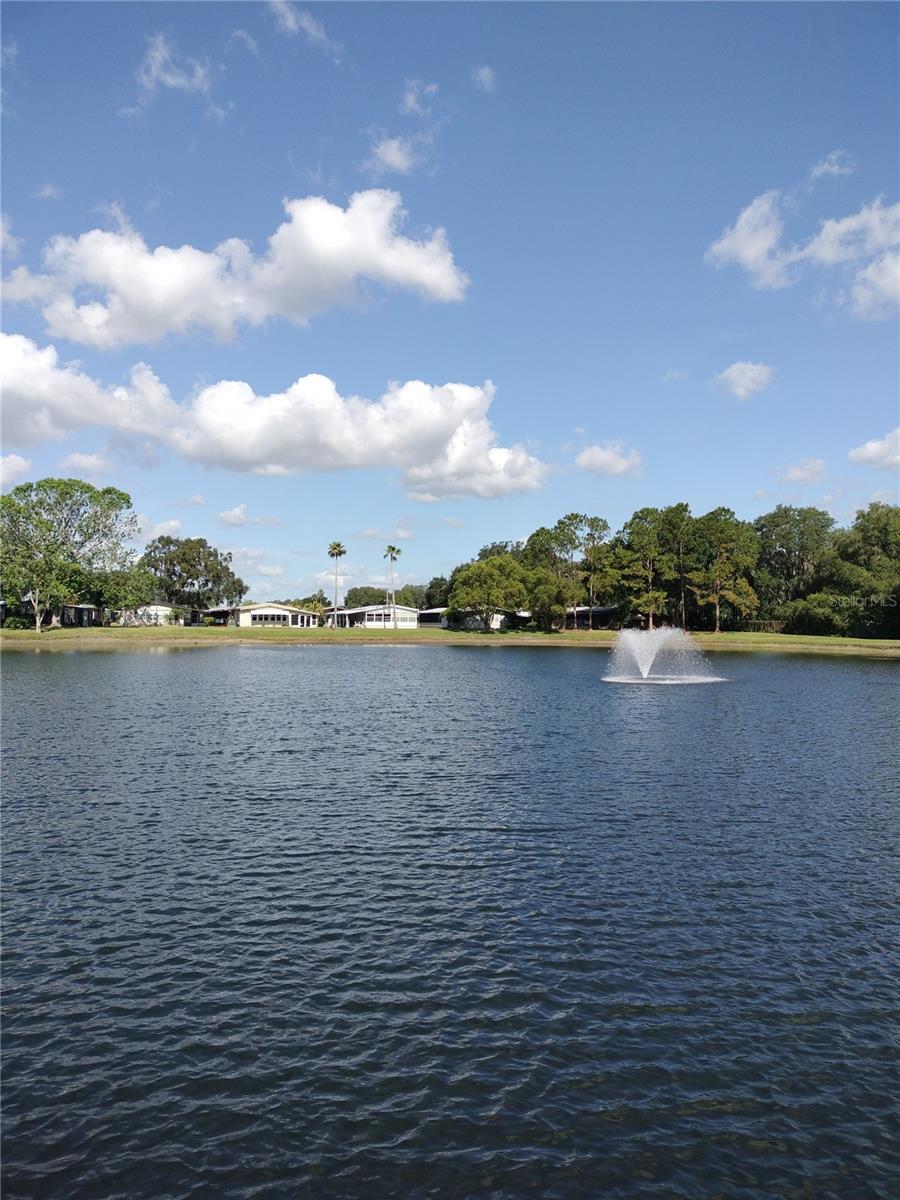 3205 HICKORY DR, WESLEY CHAPEL, FL, 33543