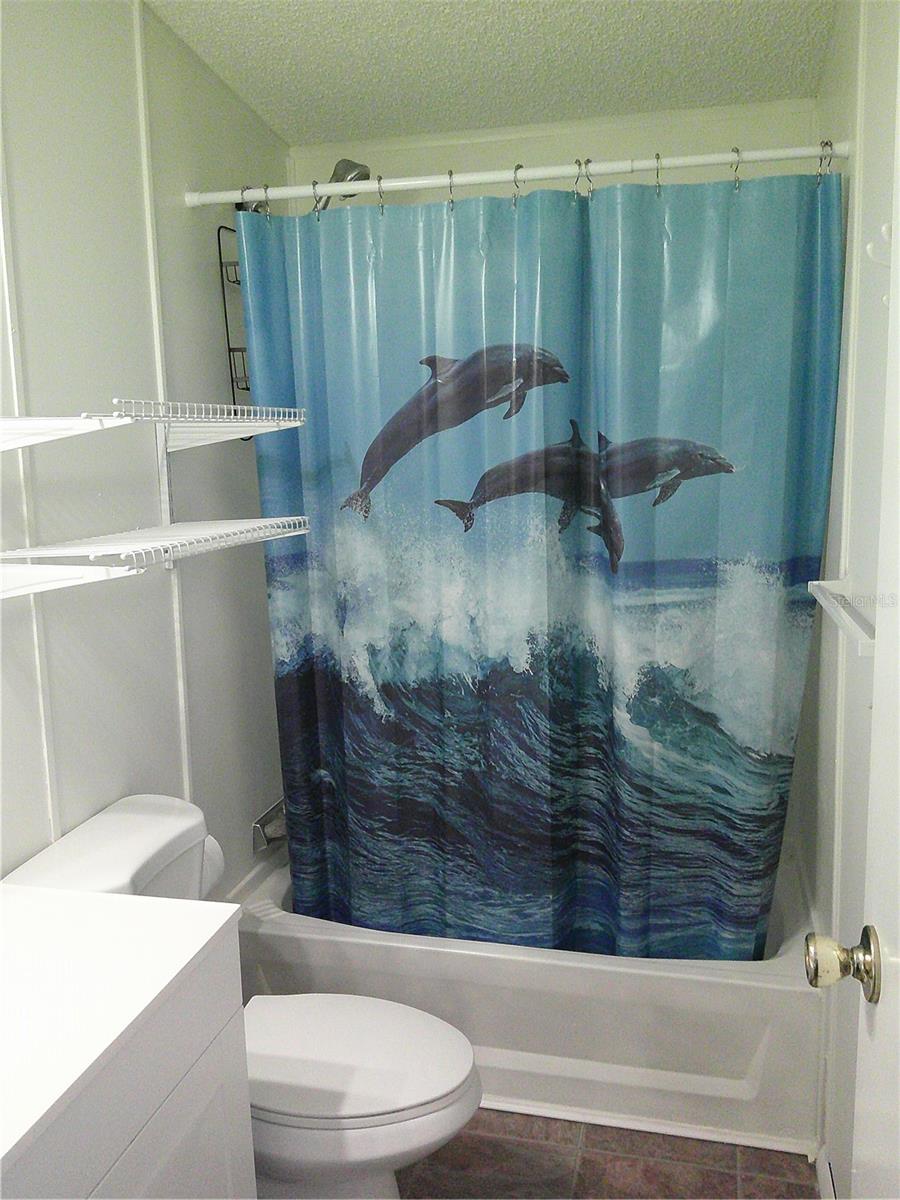 3205 HICKORY DR, WESLEY CHAPEL, FL, 33543