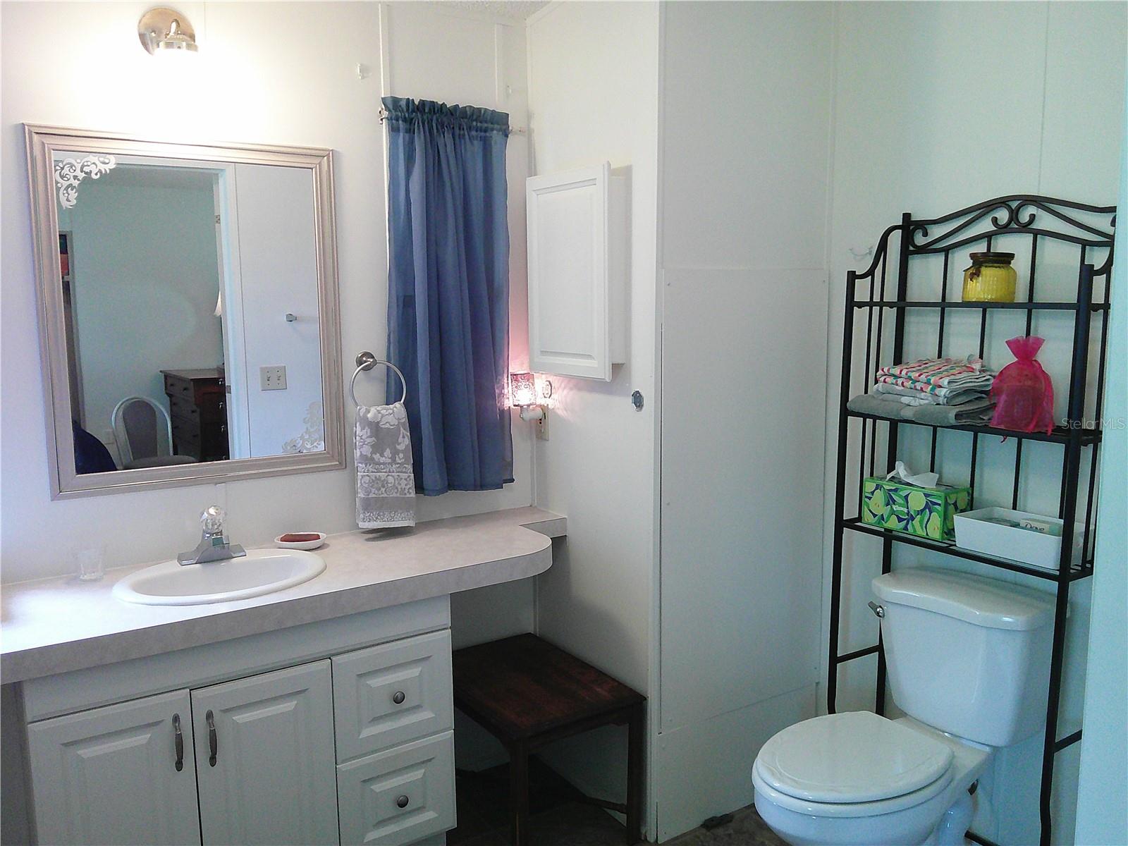 3205 HICKORY DR, WESLEY CHAPEL, FL, 33543