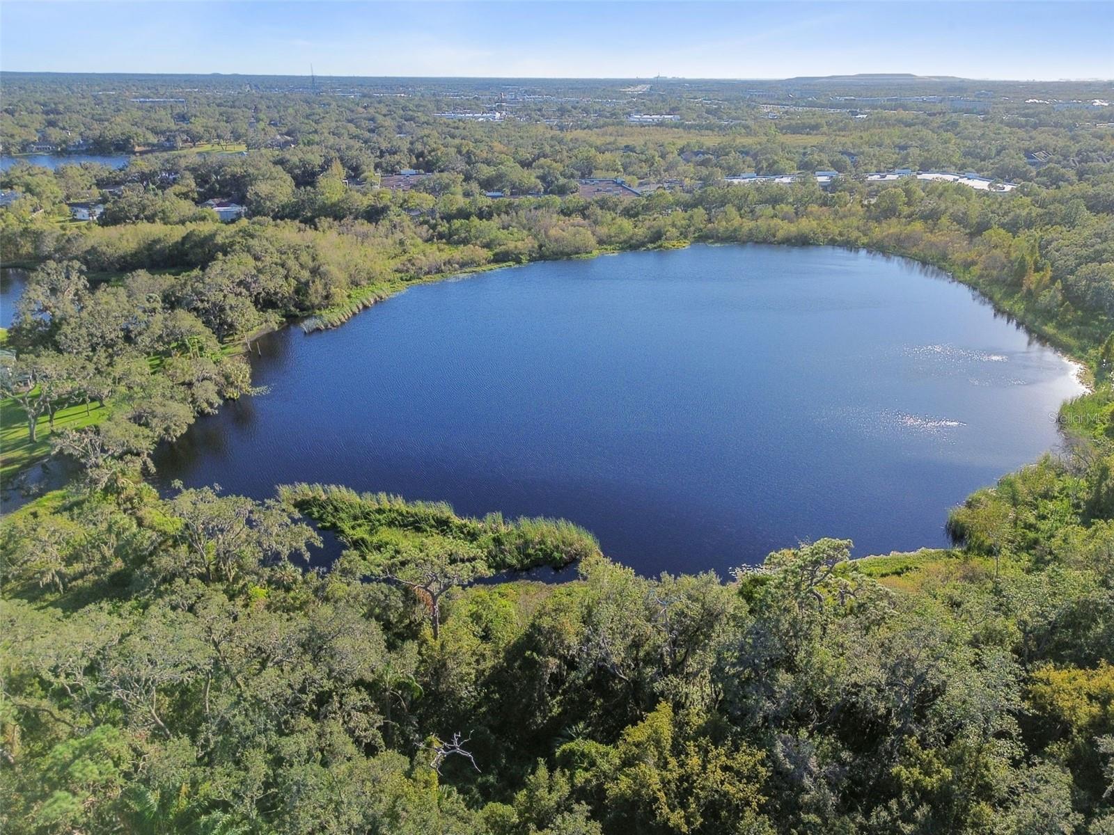 2237 LAKE WOODBERRY CIR, BRANDON, FL, 33510