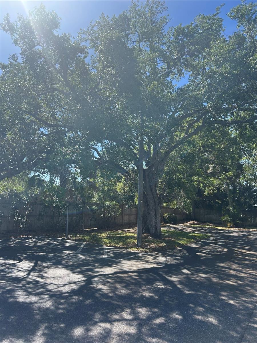 383 S MCMULLEN BOOTH RD #68, CLEARWATER, FL, 33759