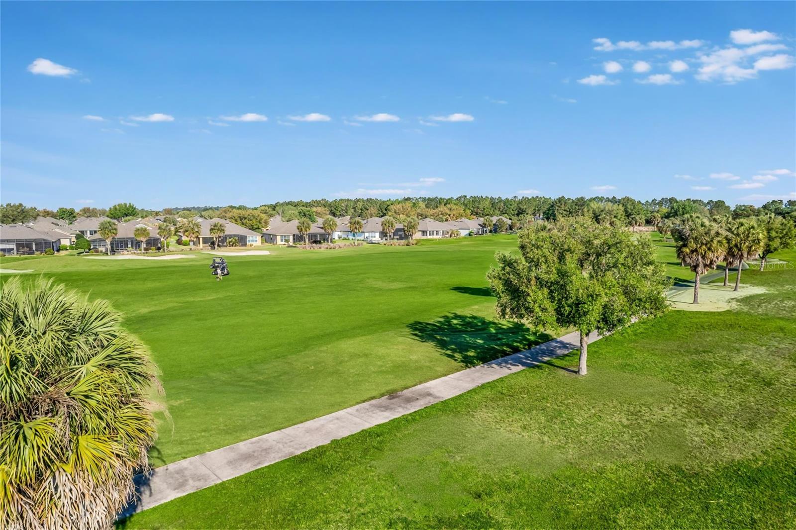 9565 SW 70TH LOOP, OCALA, FL, 34481