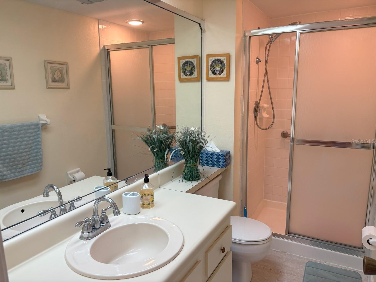 303 MEADOW LN, OLDSMAR, FL, 34677