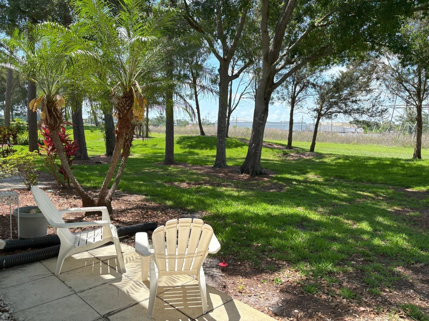 303 MEADOW LN, OLDSMAR, FL, 34677