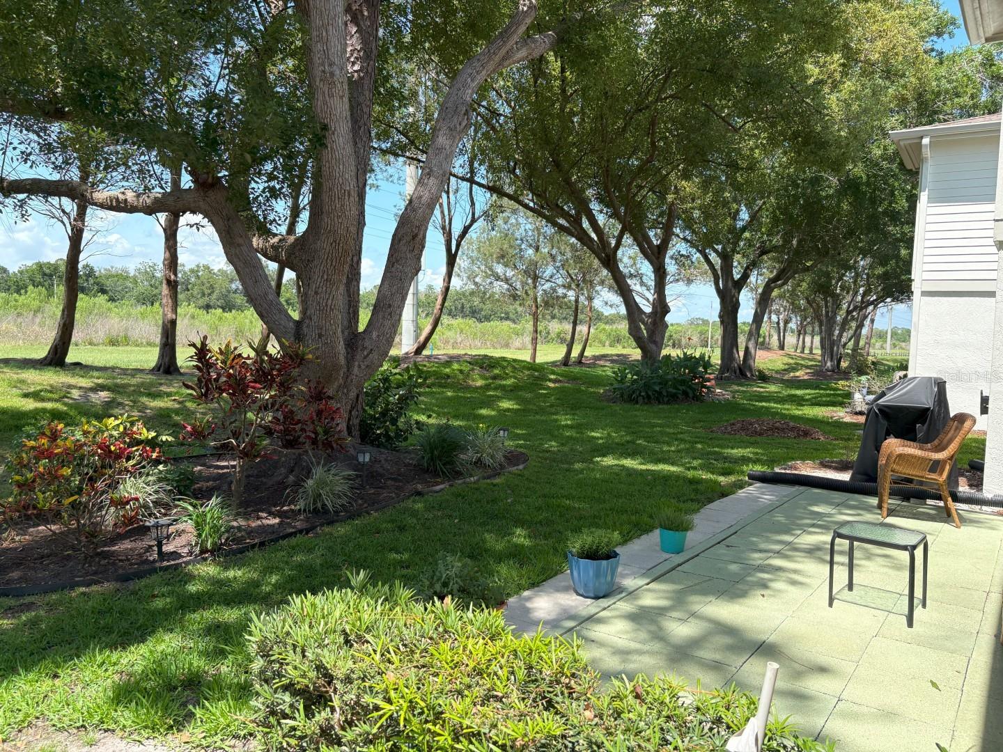 303 MEADOW LN, OLDSMAR, FL, 34677