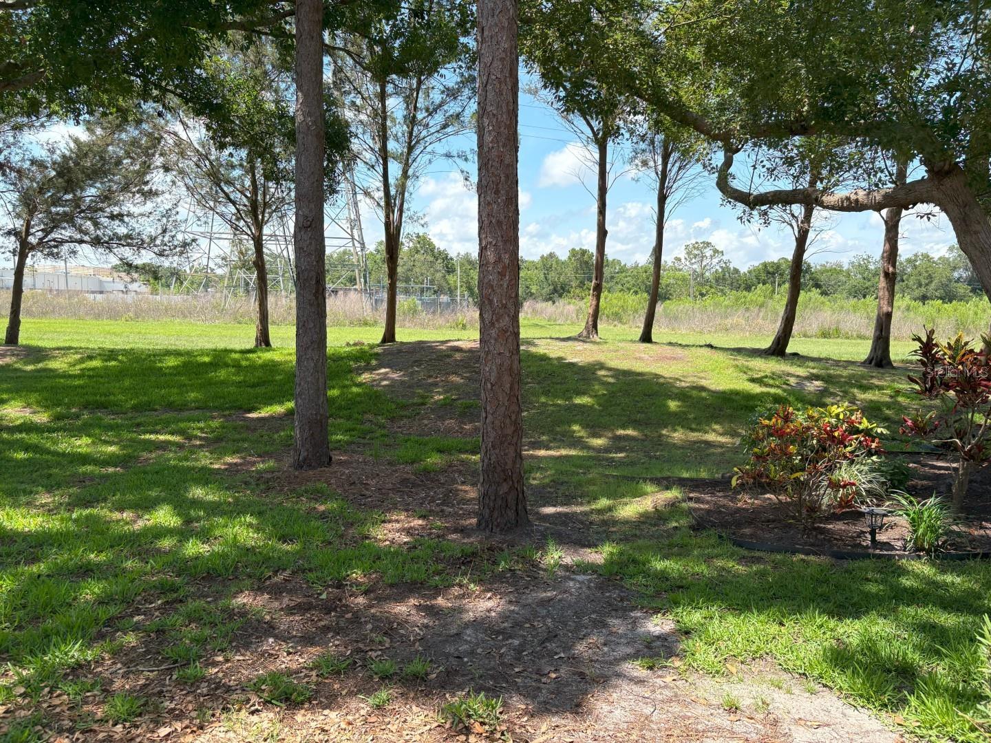 303 MEADOW LN, OLDSMAR, FL, 34677