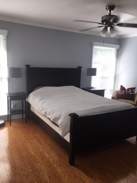 2523 CROWDER LN, TAMPA, FL, 33629