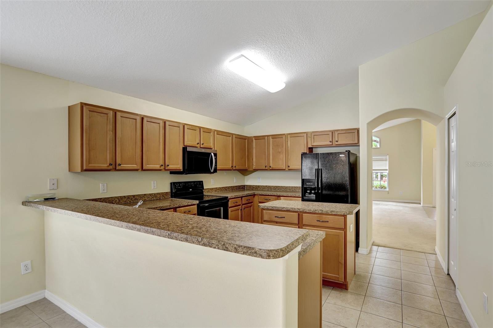 1029 ORANGE COSMOS BLVD, DAVENPORT, FL, 33837