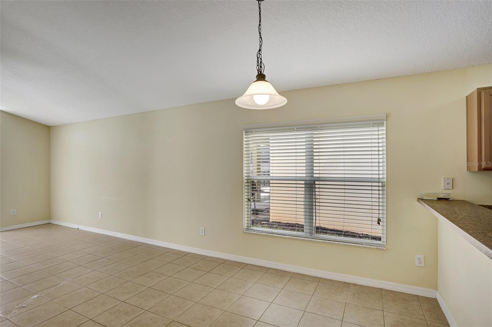 1029 ORANGE COSMOS BLVD, DAVENPORT, FL, 33837