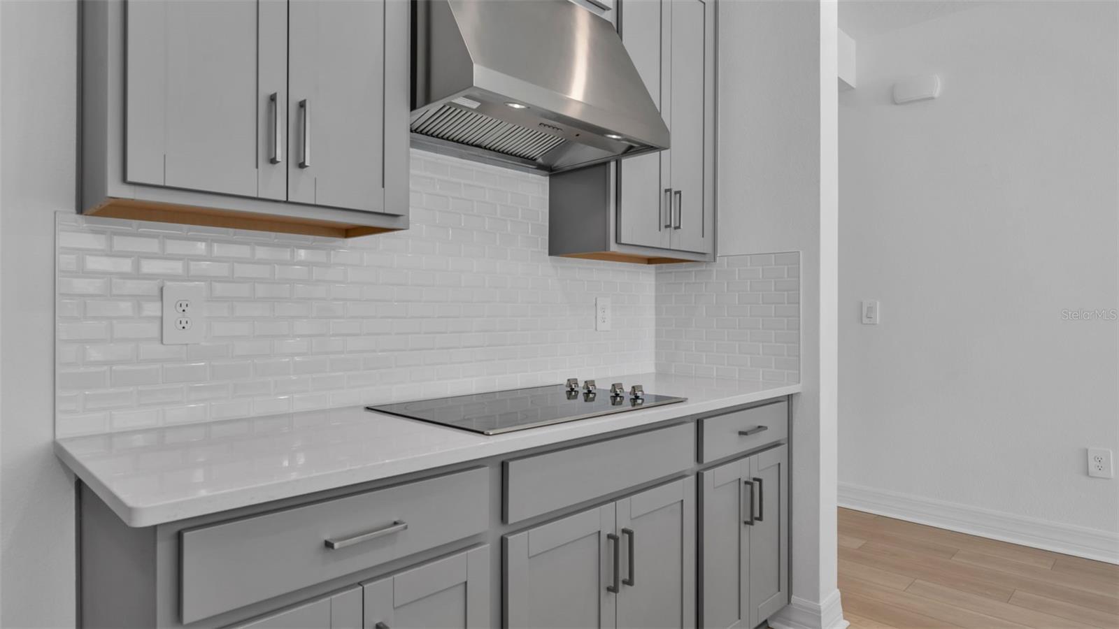 3408 LUMBER FALLS DR, PLANT CITY, FL, 33565