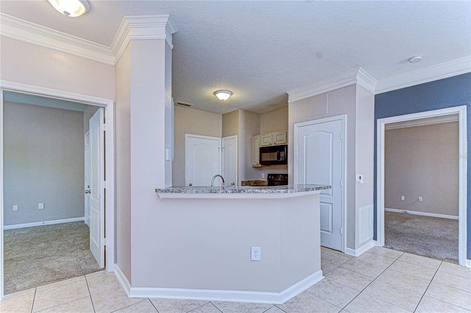 17942 VILLA CREEK DR #17942, TAMPA, FL, 33647