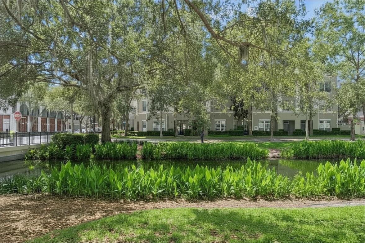 582 WATER ST #582, CELEBRATION, FL, 34747