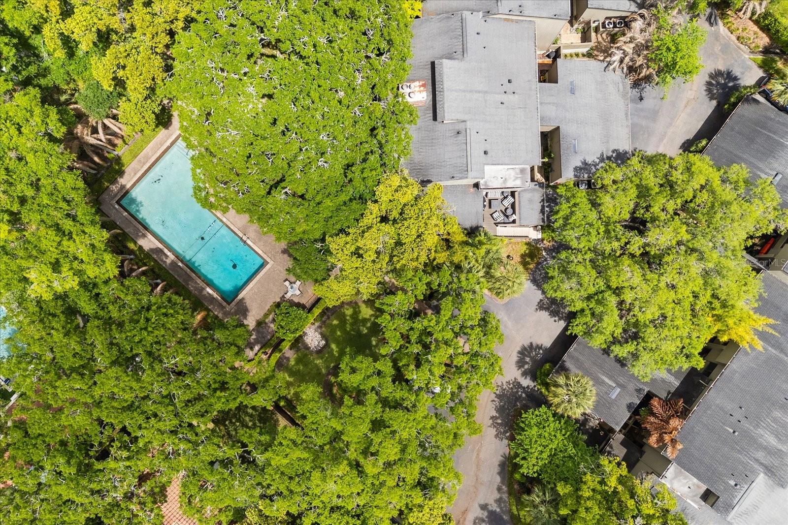 546 S OSCEOLA AVE #31, ORLANDO, FL, 32801