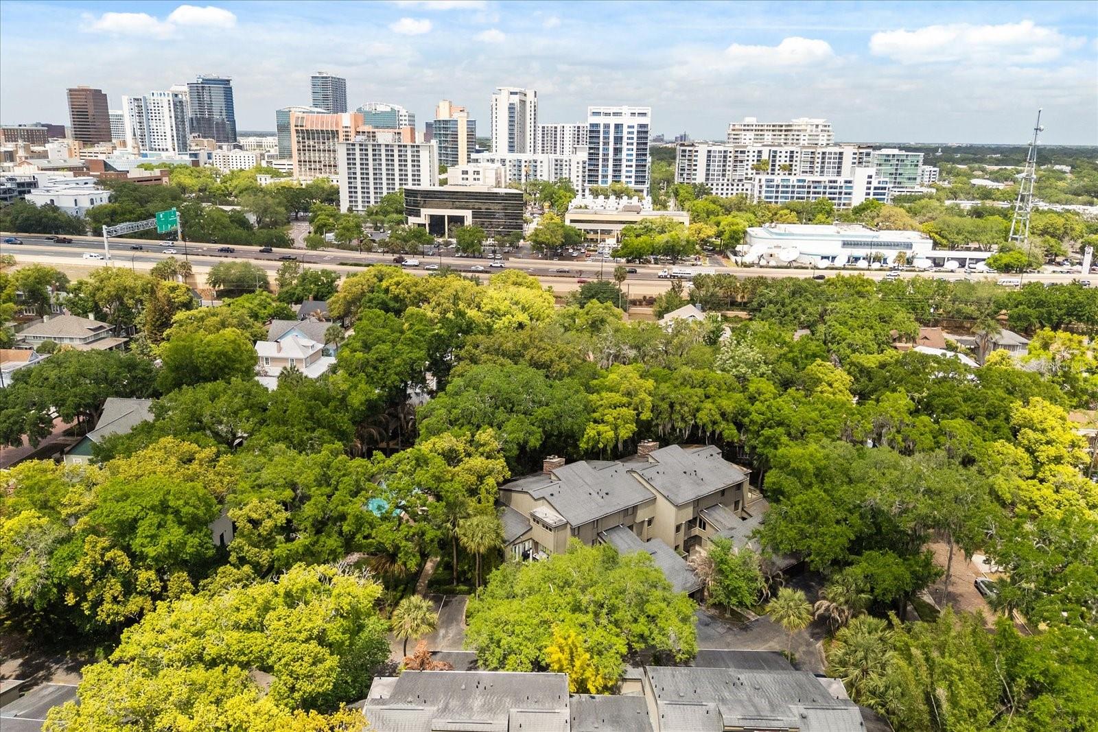 546 S OSCEOLA AVE #31, ORLANDO, FL, 32801