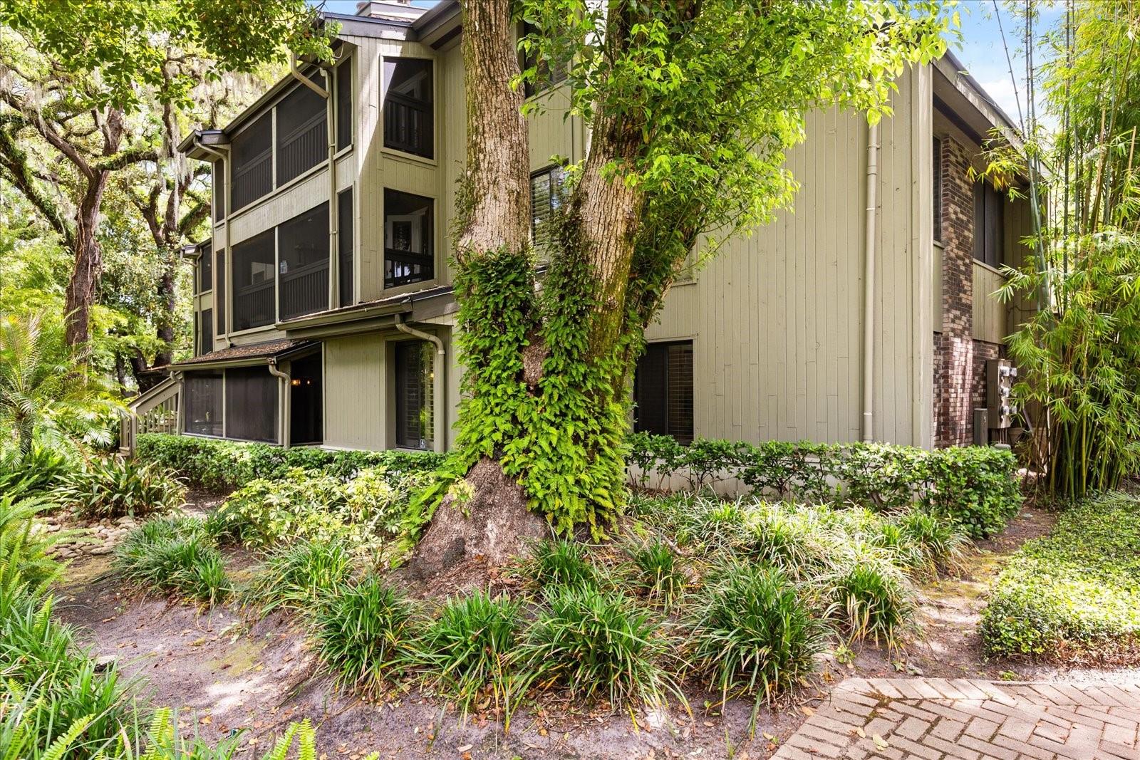 546 S OSCEOLA AVE #31, ORLANDO, FL, 32801