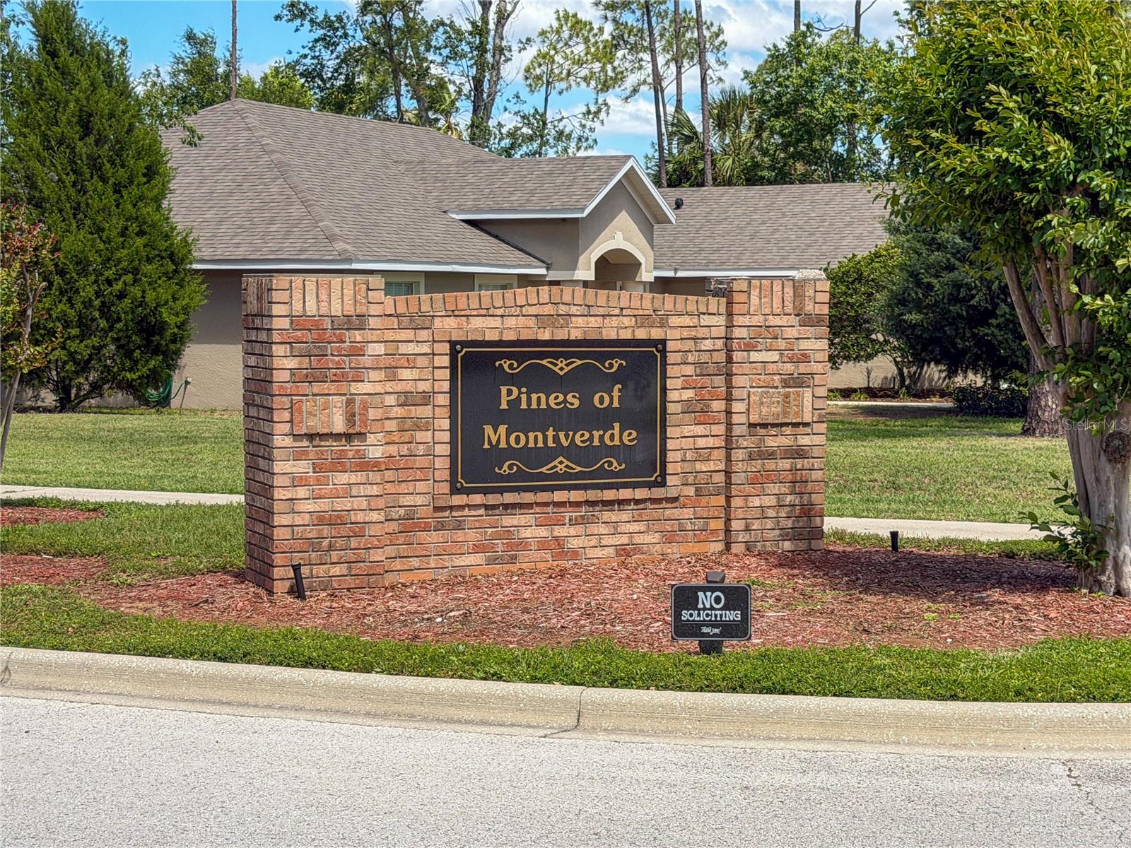 17638 WINDY PINE ST, MONTVERDE, FL, 34756