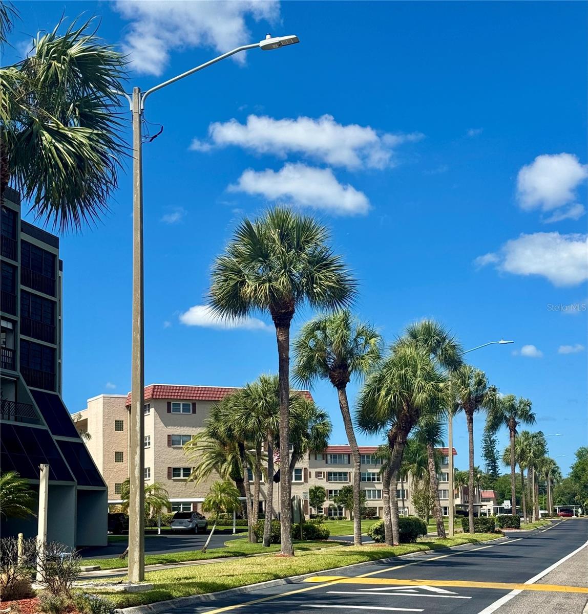 10036 63RD AVE N #23, ST PETERSBURG, FL, 33708