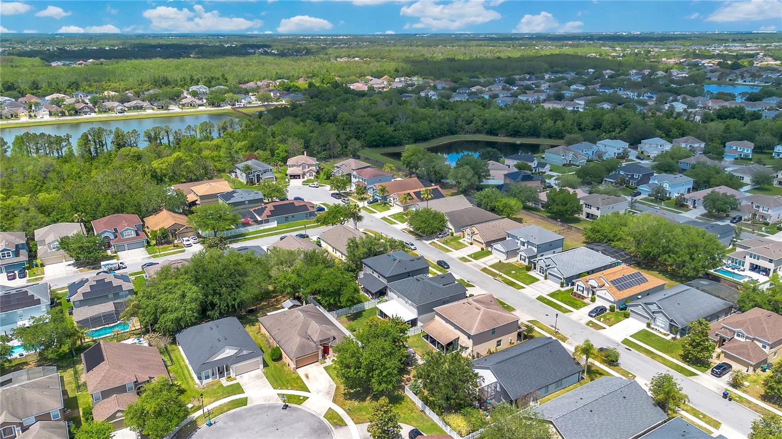 1143 WILLOW BRANCH DR, ORLANDO, FL, 32828