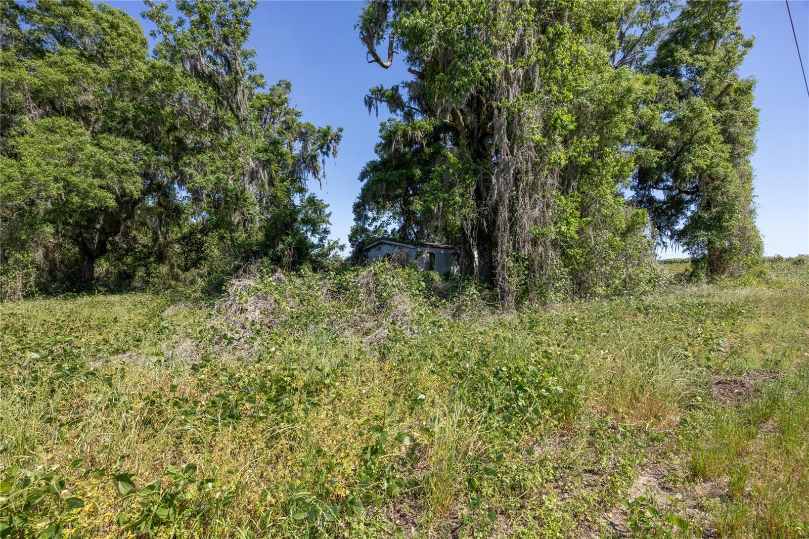 15611 NW 173RD ST, ALACHUA, FL, 32615