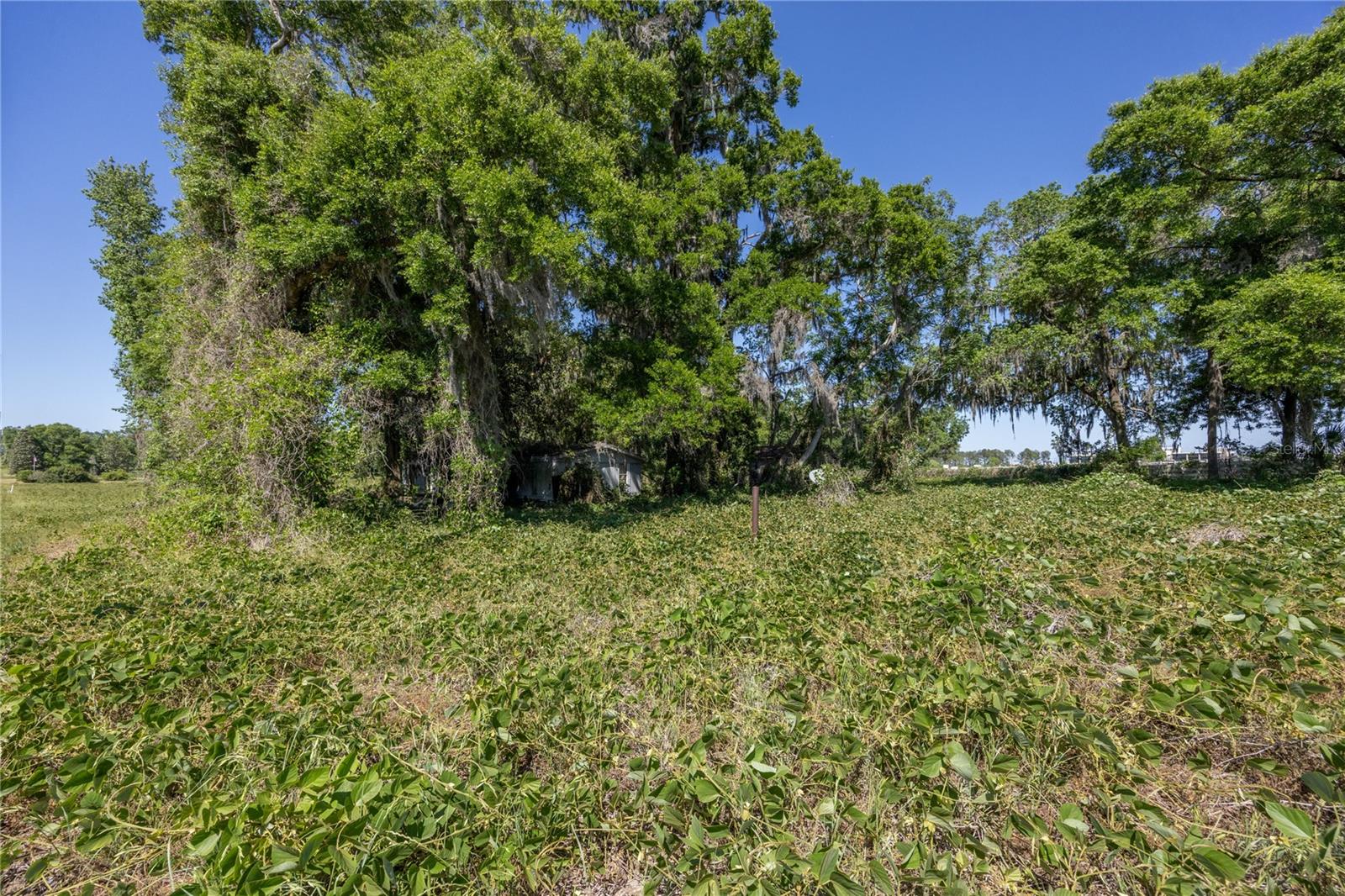 15611 NW 173RD ST, ALACHUA, FL, 32615