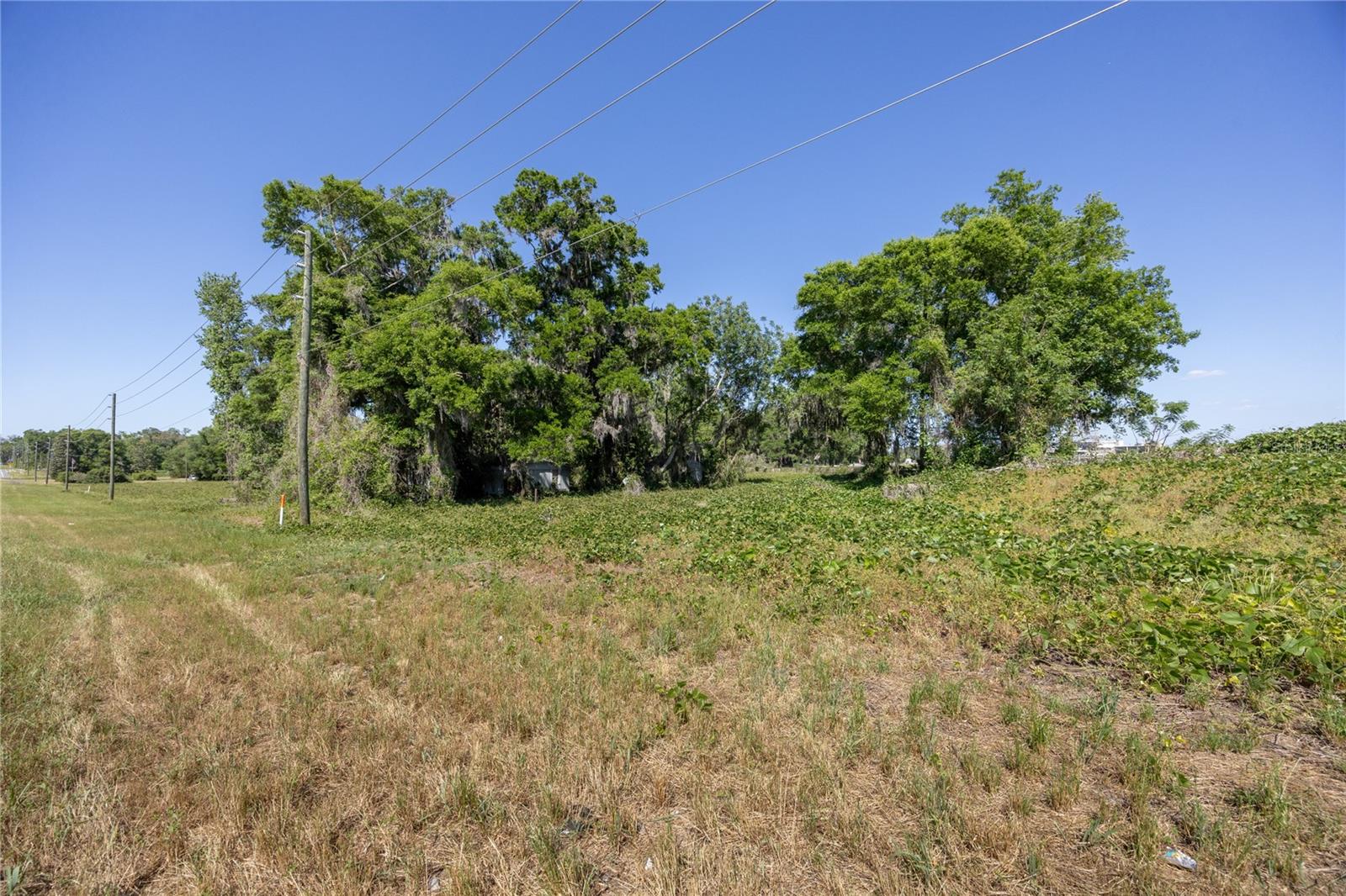 15611 NW 173RD ST, ALACHUA, FL, 32615