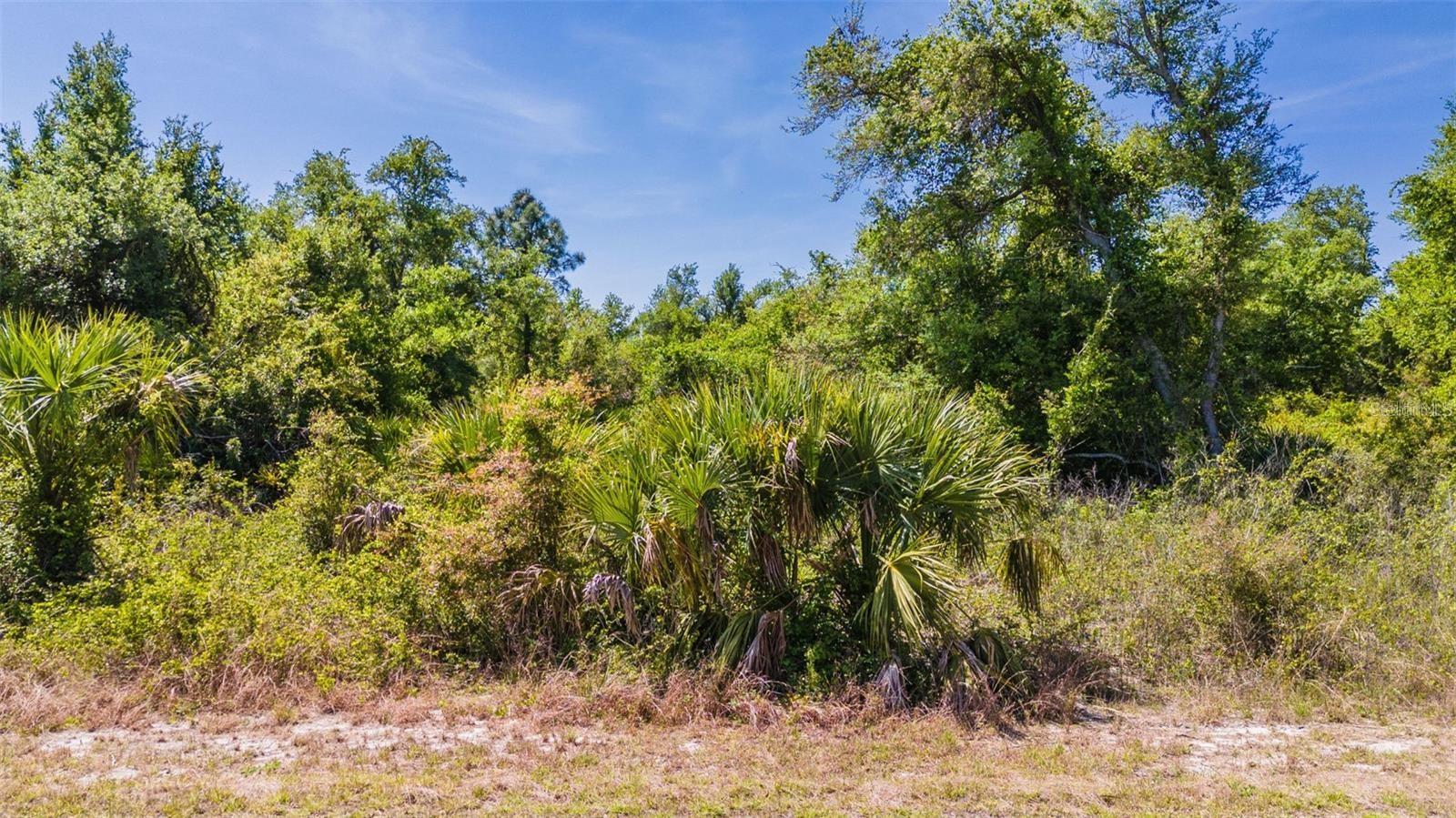 HAMBURG DR, NORTH PORT, FL, 34288