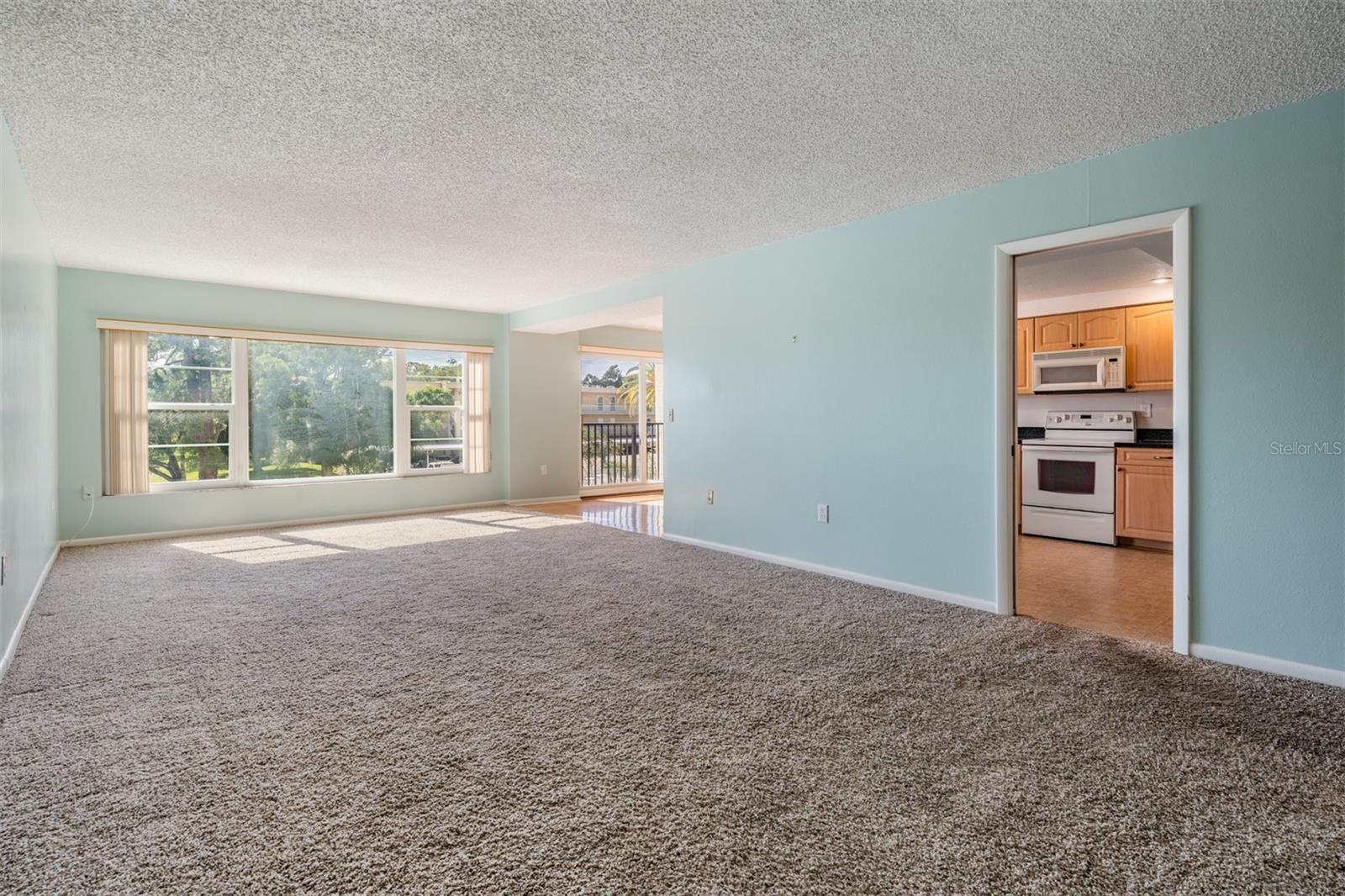 225 COUNTRY CLUB DR #1209, LARGO, FL, 33771