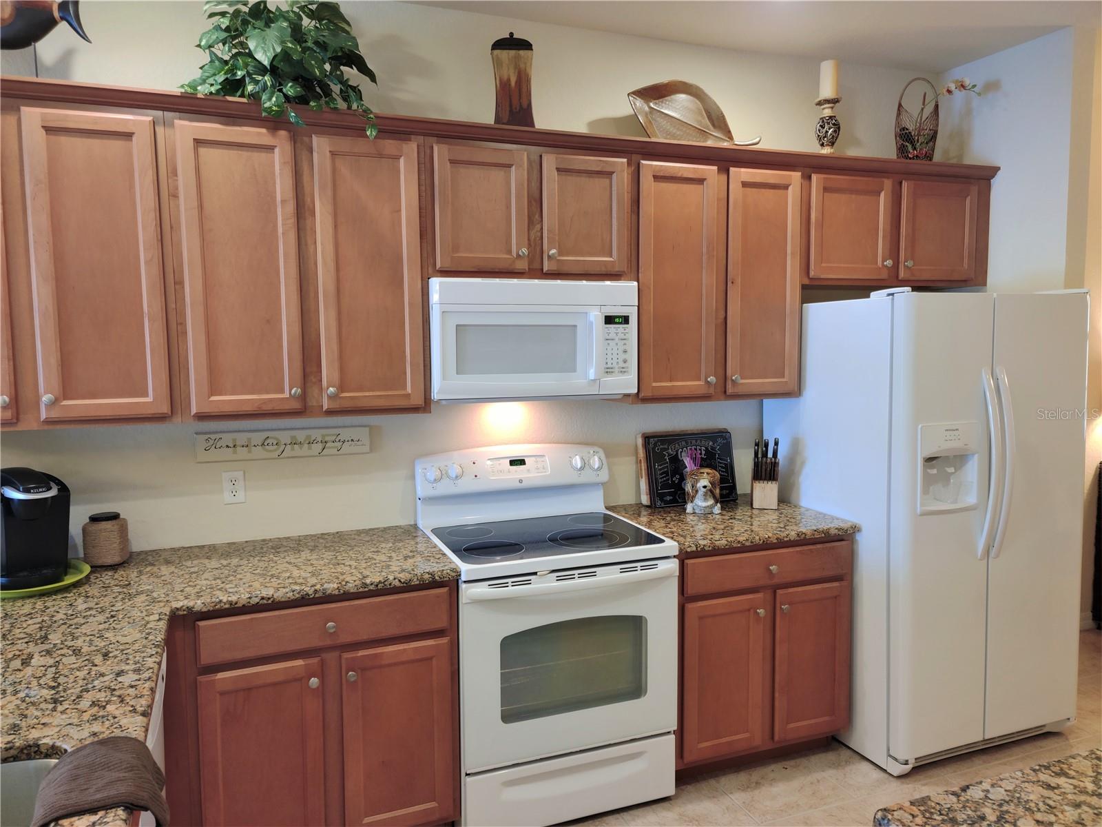 11997 TEMPEST HARBOR LOOP, VENICE, FL, 34292