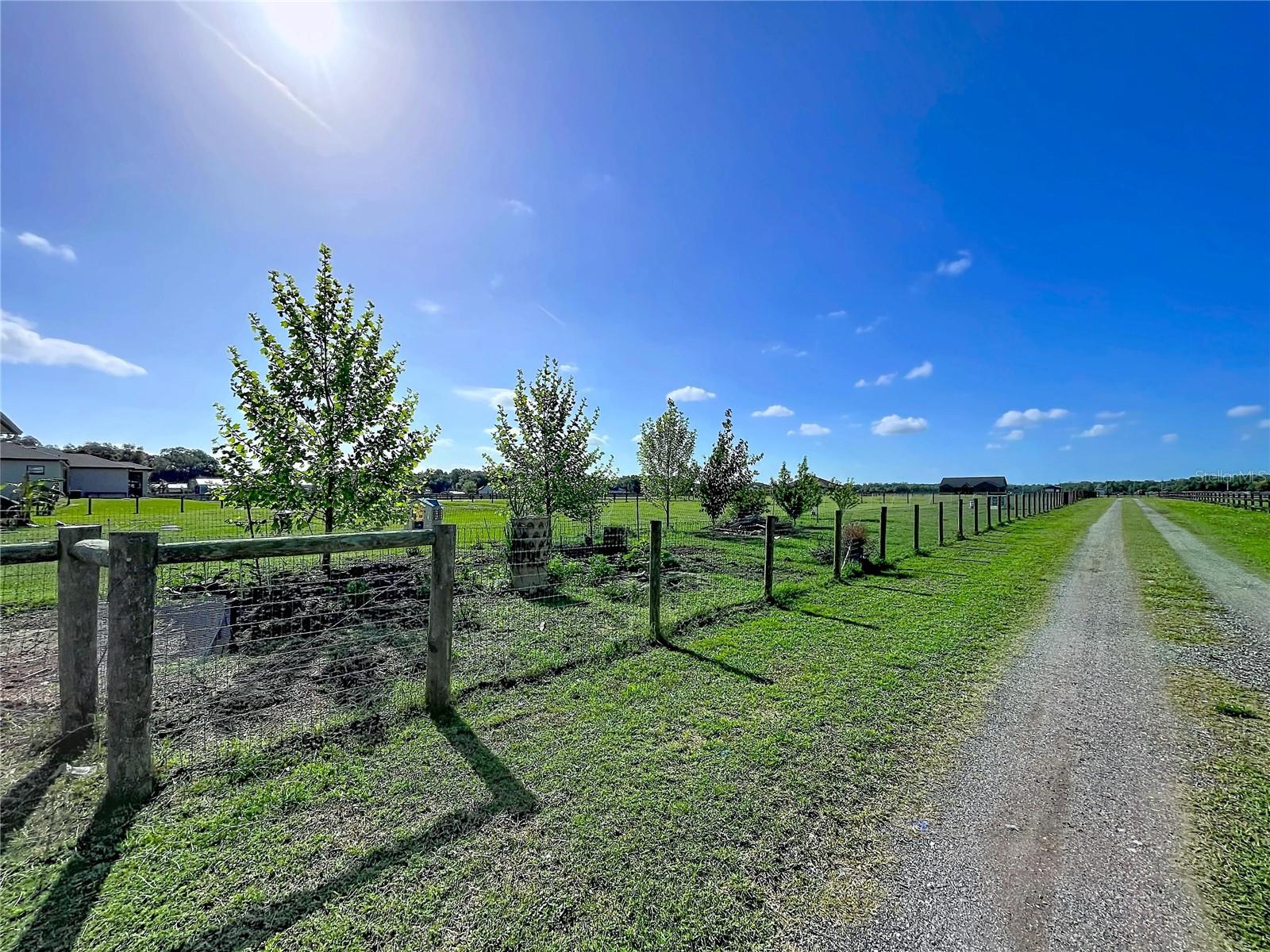 3063 ENGLISH RD, PLANT CITY, FL, 33567