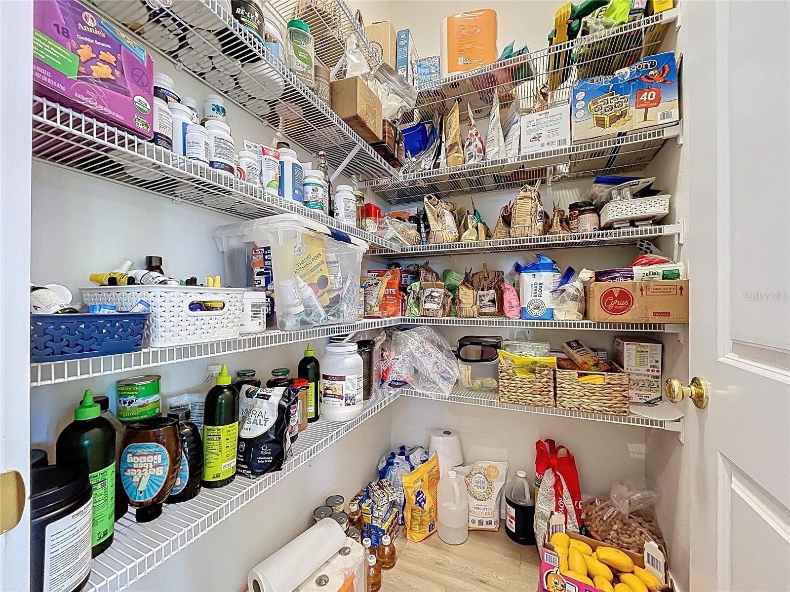 3063 ENGLISH RD, PLANT CITY, FL, 33567