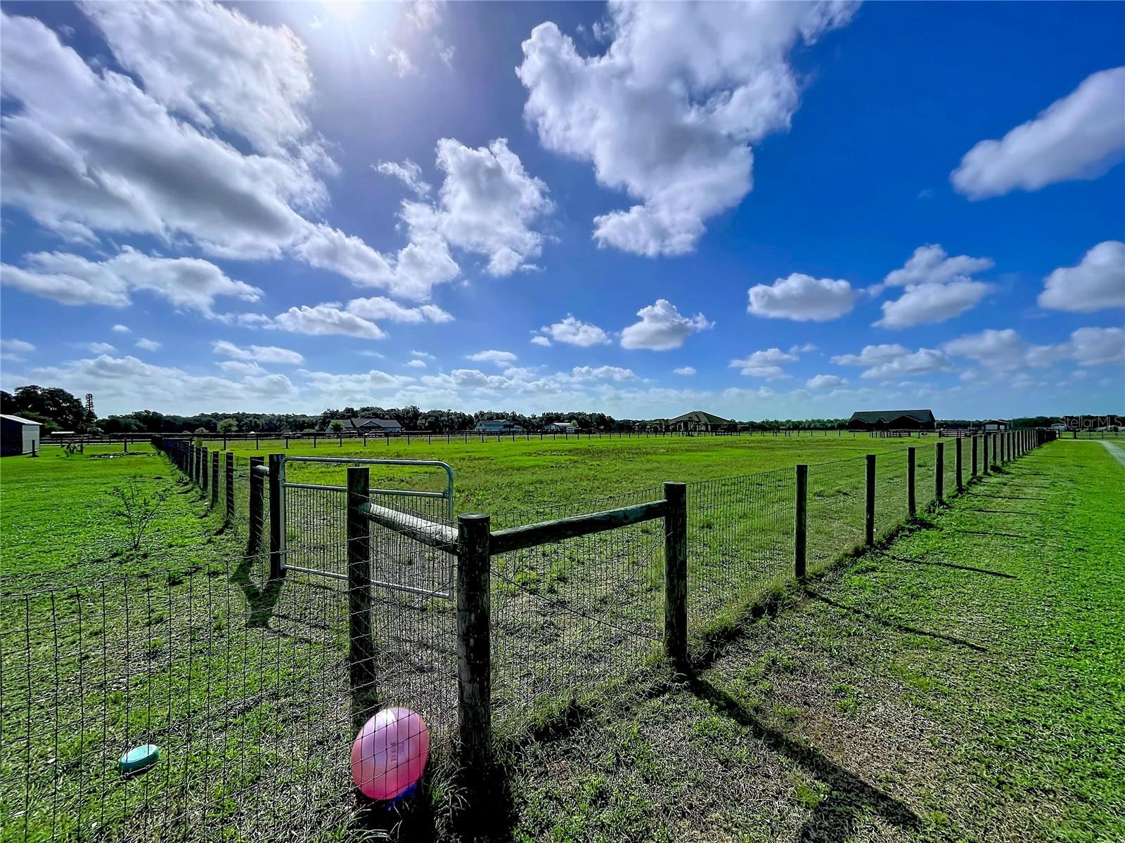 3063 ENGLISH RD, PLANT CITY, FL, 33567