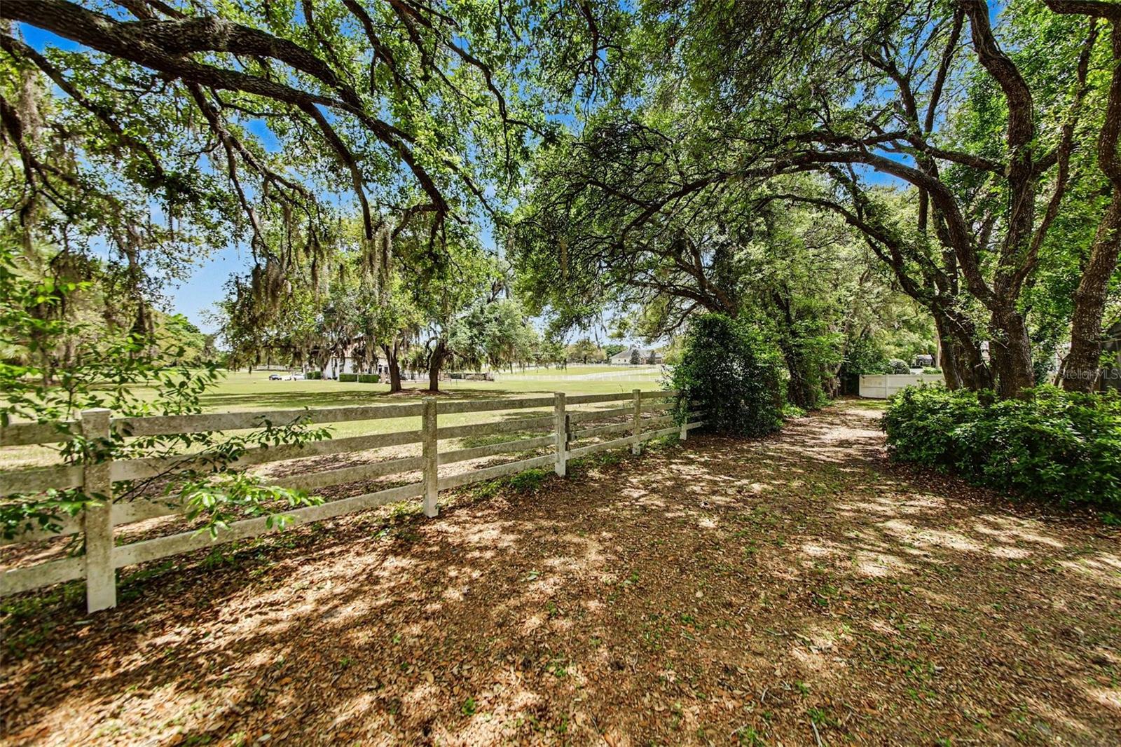 4323 CALEDONIA AVE, APOPKA, FL, 32712