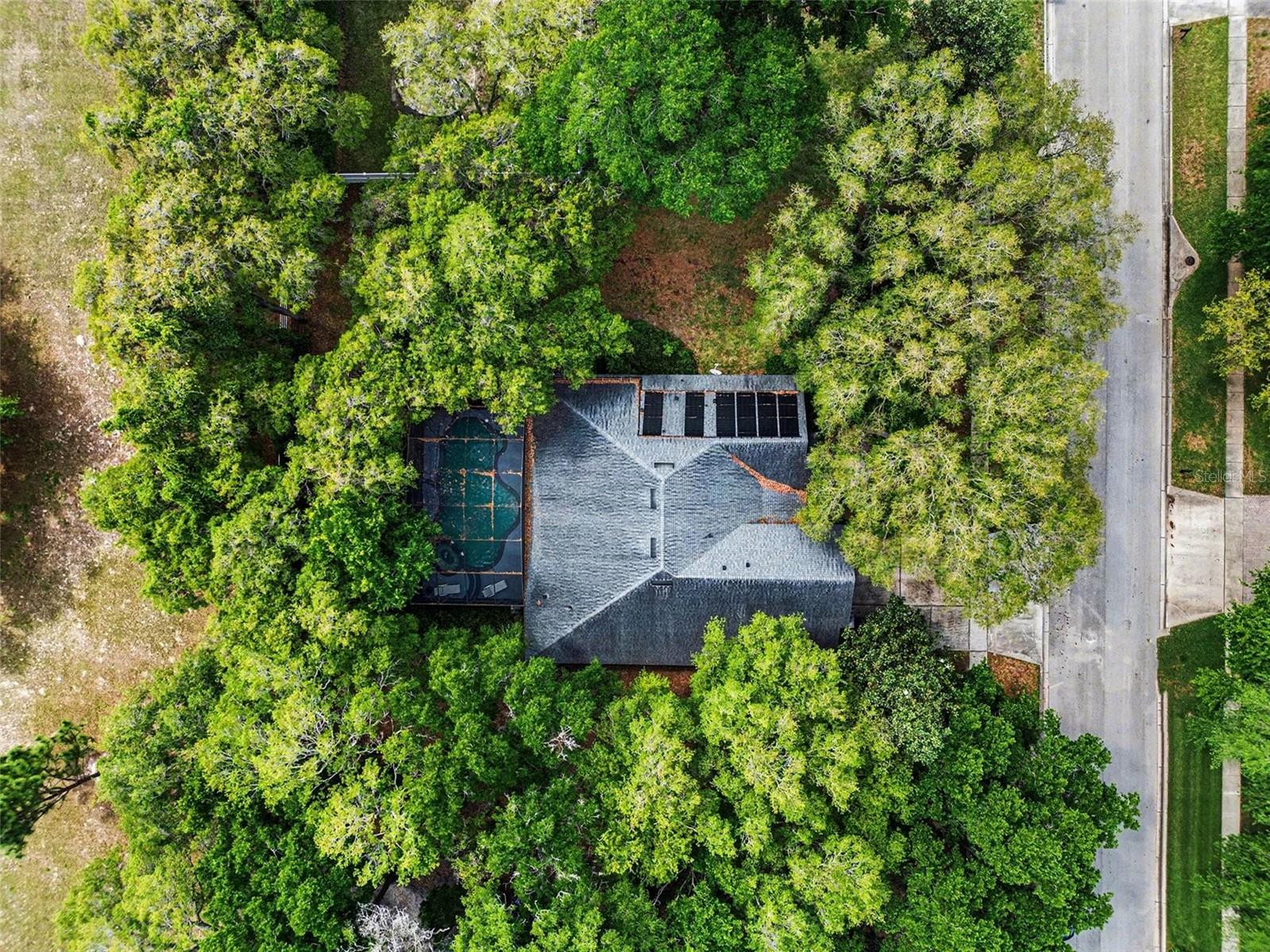 4323 CALEDONIA AVE, APOPKA, FL, 32712