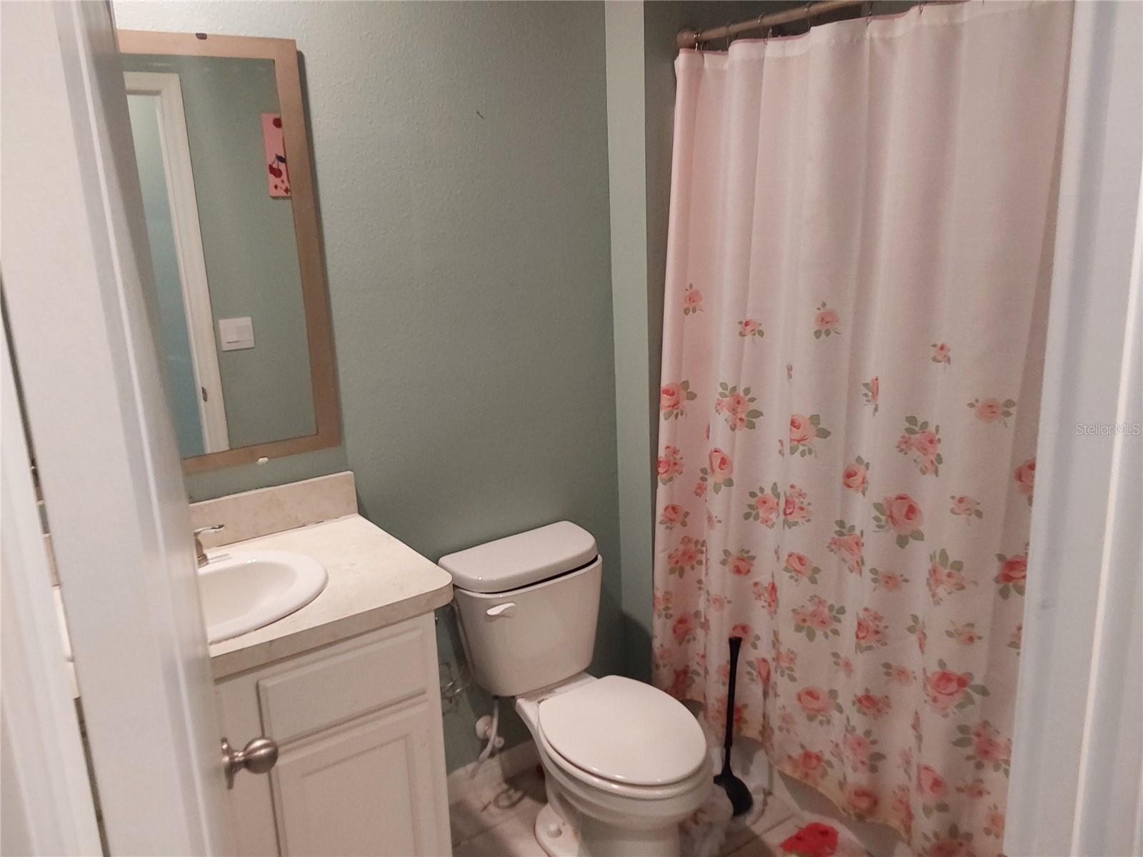 2842 COMMON CRANE CT, HARMONY, FL, 34773