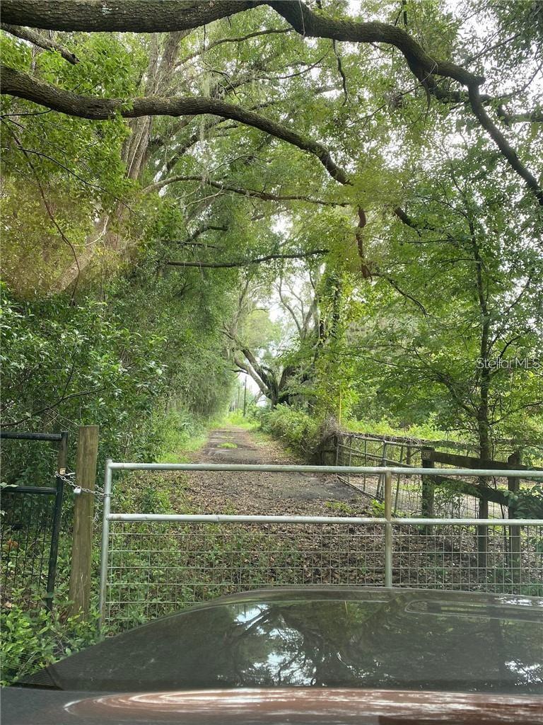 9401 NE 41ST CT, ANTHONY, FL, 32617