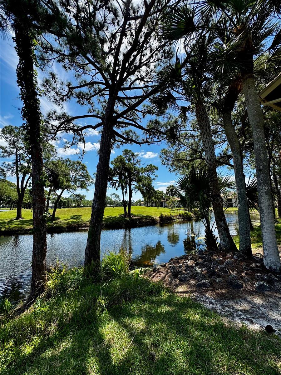 4644 WEYBRIDGE #10, SARASOTA, FL, 34235