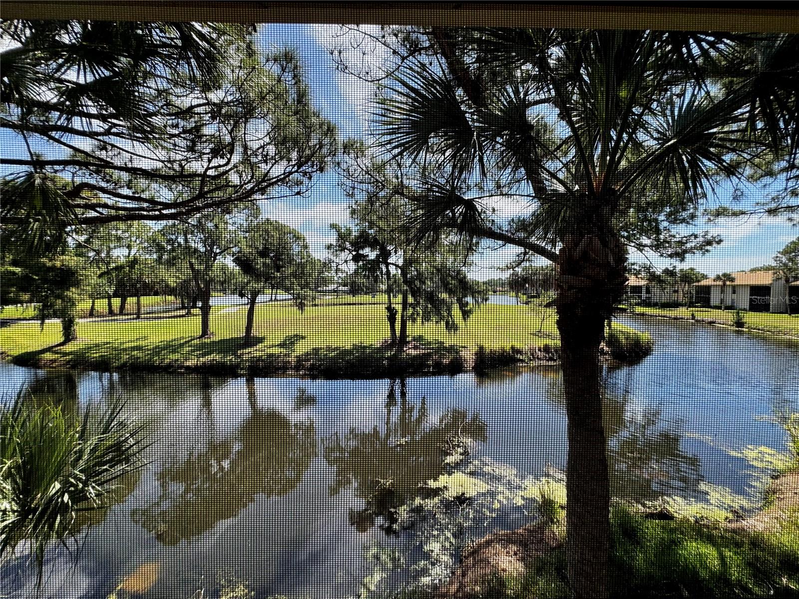 4644 WEYBRIDGE #10, SARASOTA, FL, 34235