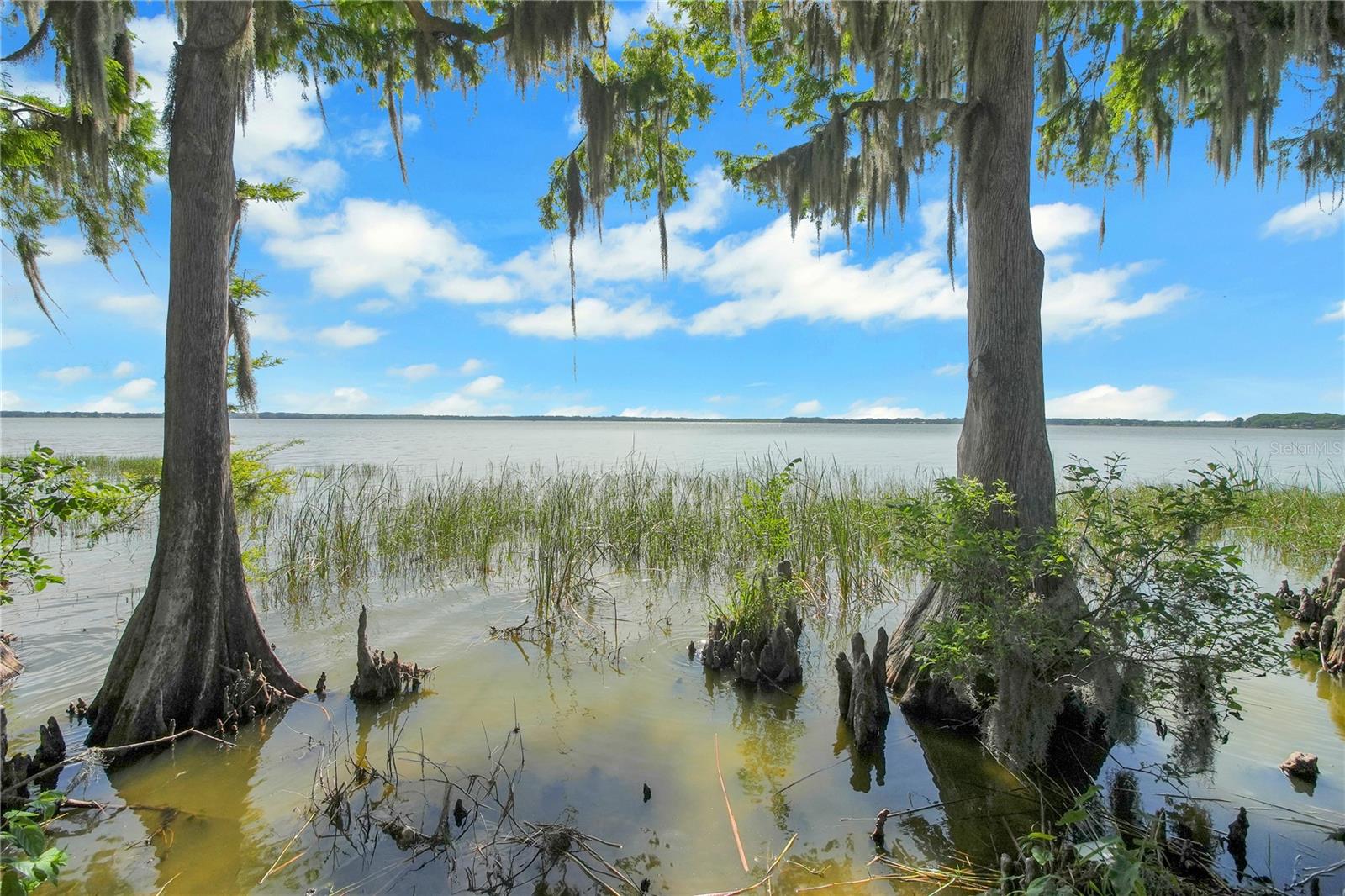 30437 ORANGE DR, LEESBURG, FL, 34748