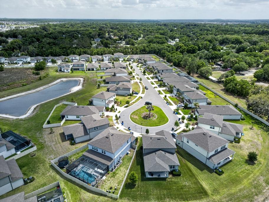 12908 BROOKSIDE MOSS DR, RIVERVIEW, FL, 33579