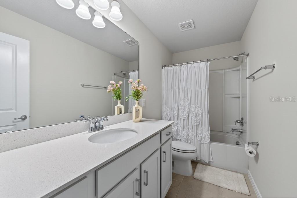 12908 BROOKSIDE MOSS DR, RIVERVIEW, FL, 33579